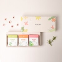 폴인허브 기프트세트 티백 허브차 무카페인